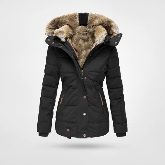 Luxus- und elegante Jacke 0