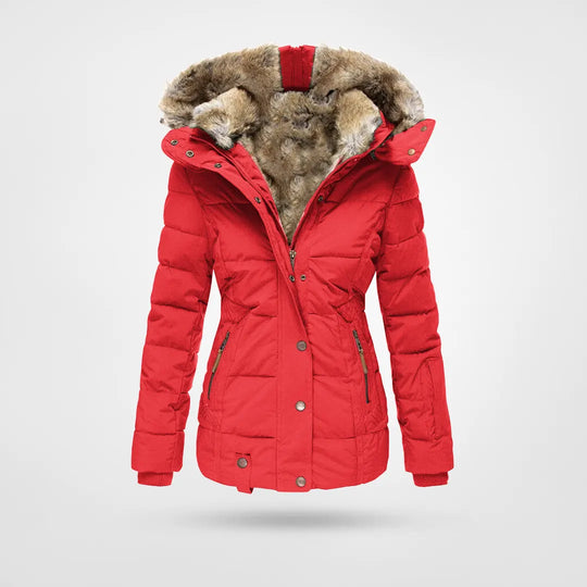 Luxus- und elegante Jacke 2