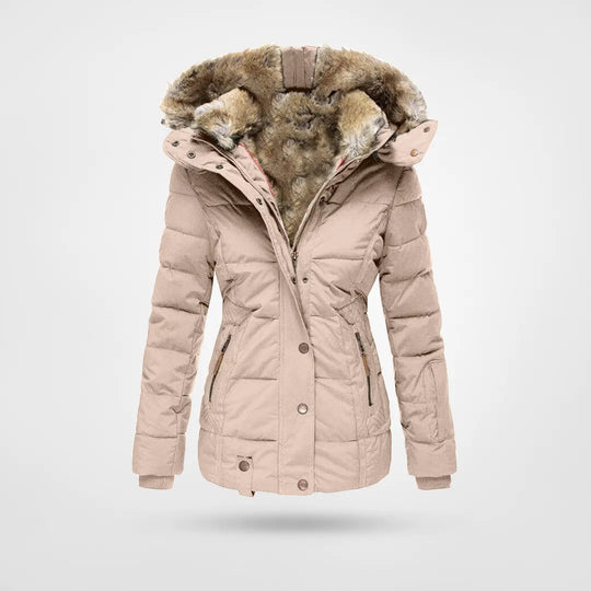 Luxus- und elegante Jacke 4