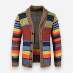 Pullover für Herren mit Kragen und Knopfleiste